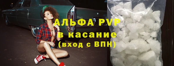 СК Алексин