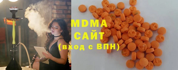 СК Алексин