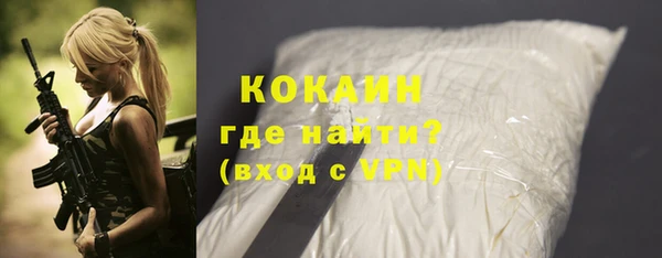 СК Алексин