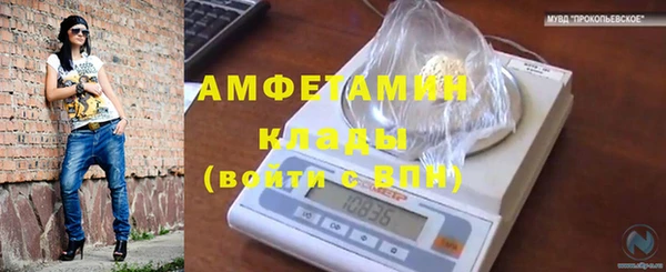 СК Алексин