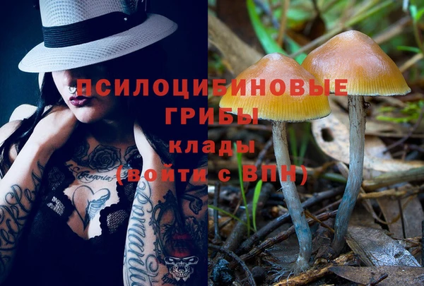 дмт Алексеевка