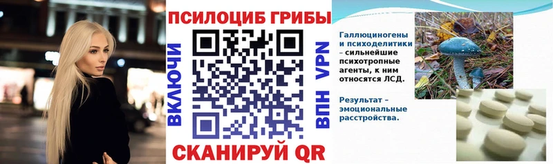 Галлюциногенные грибы Psilocybe  продажа наркотиков  мега ССЫЛКА  Петровск-Забайкальский 