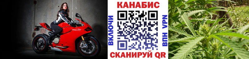 наркота  Петровск-Забайкальский  Каннабис индика 